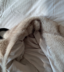 Aurora Tip Faux Fur Coat